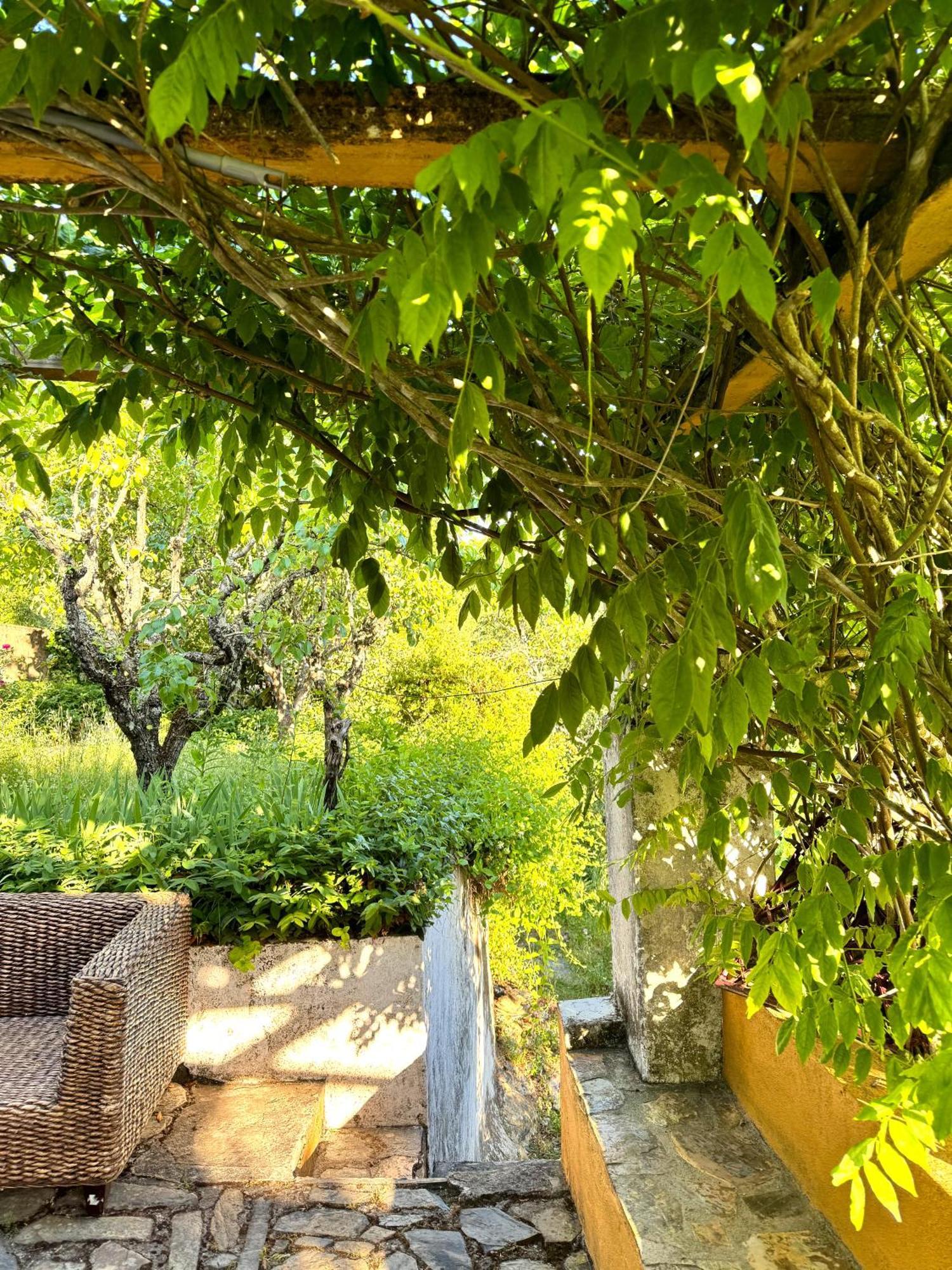 Serra Casa Holiday home Sao Salvador da Aramenha