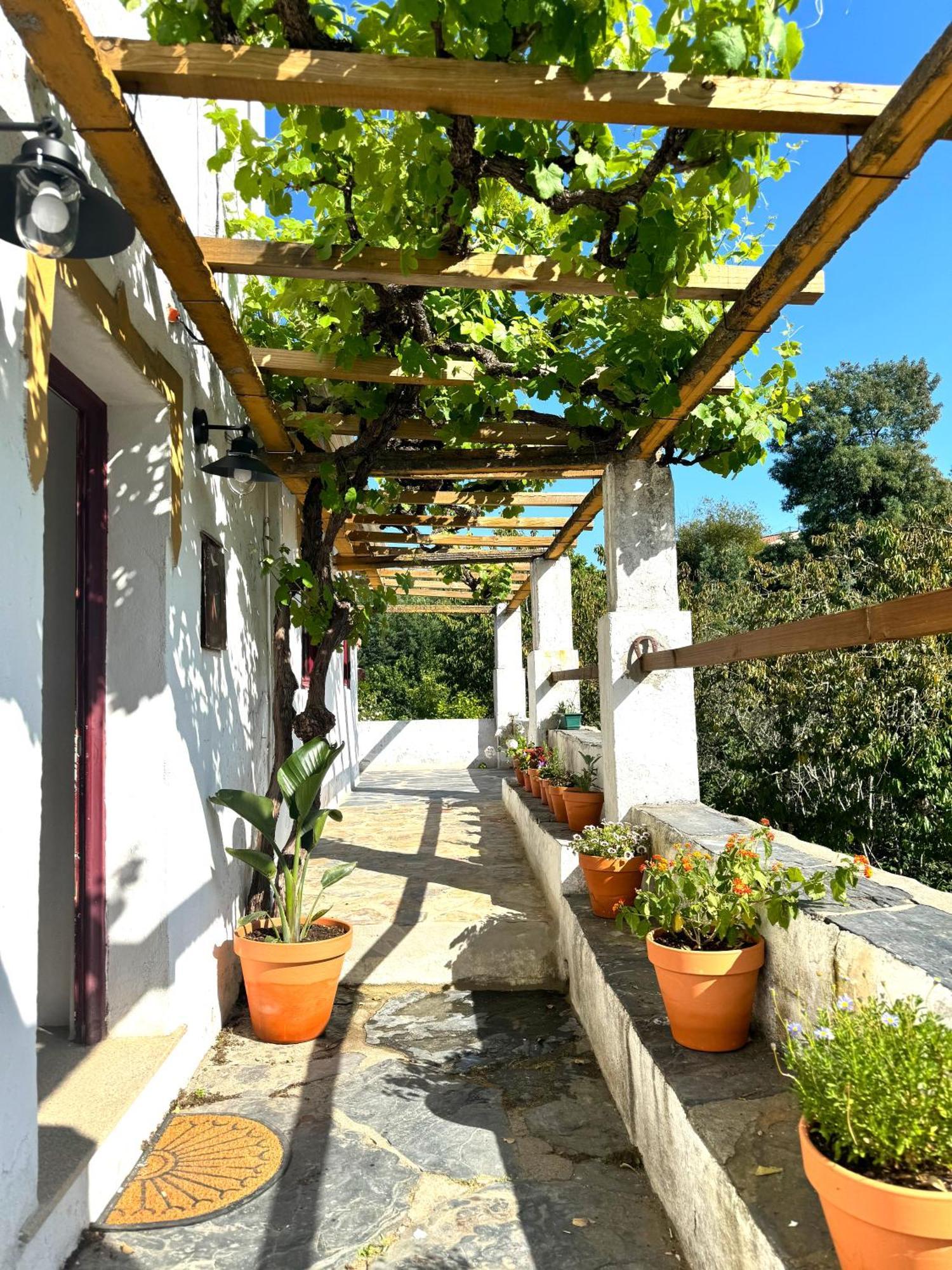 Serra Casa Holiday home *
