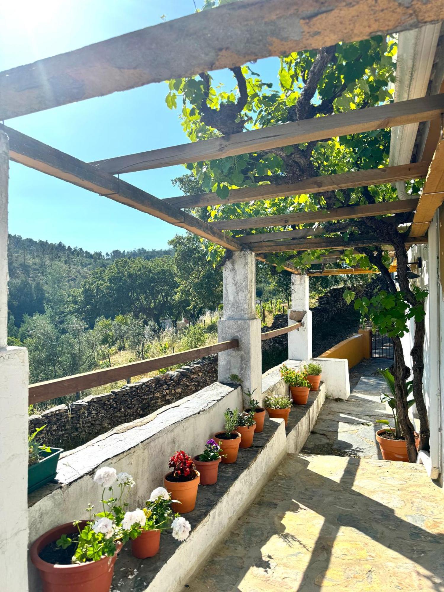 Holiday home Serra Casa Sao Salvador da Aramenha